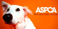 Help support the ASPCA